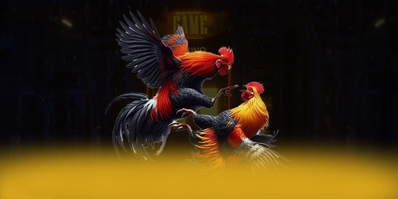 WIN79 - Cổng cá cược với chính sách bảo mật hàng đầu trên thị trường – Cập nhật thông tin về WIN79