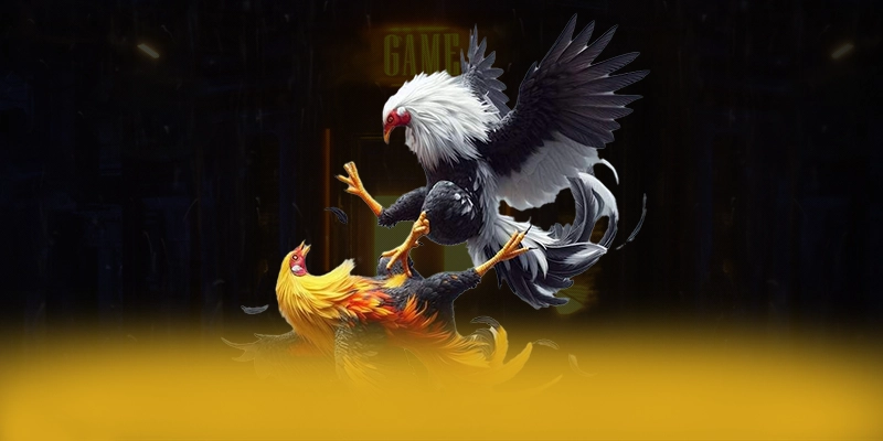 SUNWIN - Ứng dụng giải trí đạt chuẩn quốc tế được yêu thích hàng đầu – Khám phá độ uy tín của SUNWIN SUNWIN - Ứng dụng giải trí đạt chuẩn quốc tế được yêu thích hàng đầu – Khám phá độ uy tín của SUNWIN