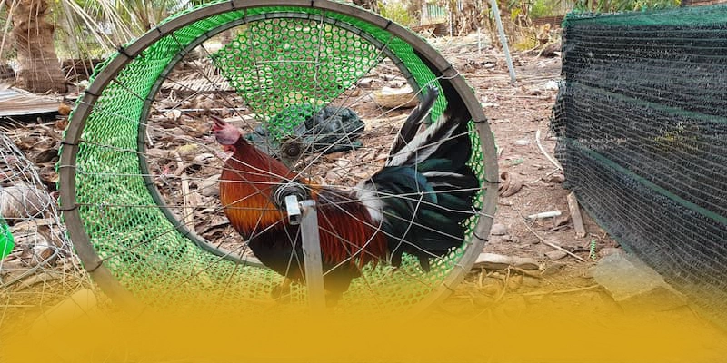 VWIN - Nhà cái uy tín được quan tâm hàng đầu