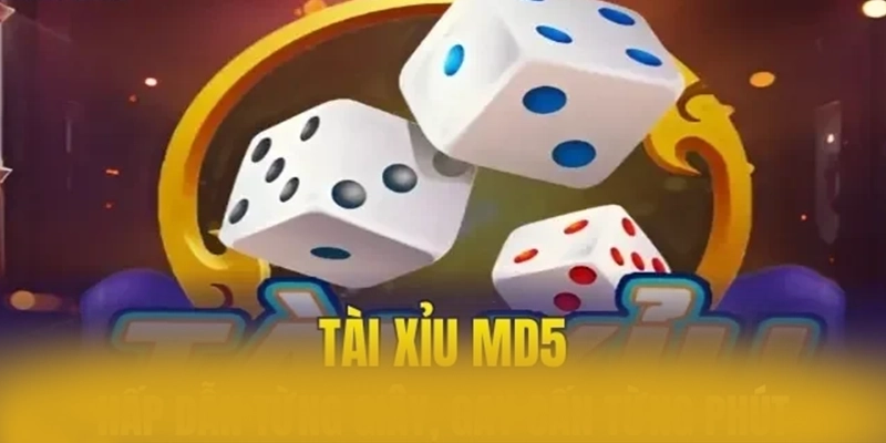 8XBET - Nhà cái cung cấp dịch vụ cá cược đỉnh cao 2025