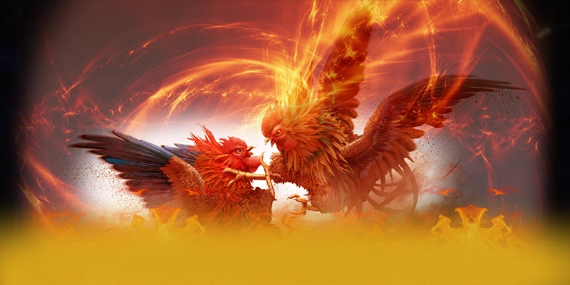 Trực tiếp bóng đá - Cong giai tri on dinh so 1 Viet Nam